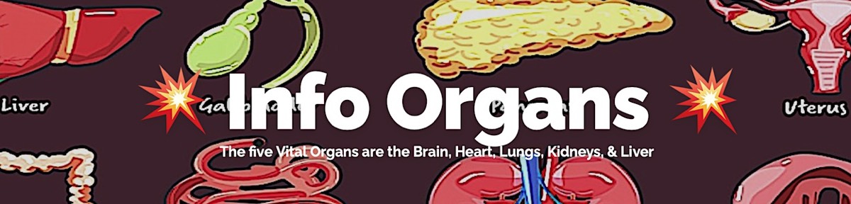 Stacks Image 614